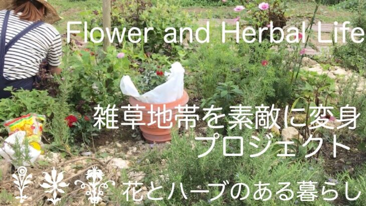 【ガーデニング】庭の雑草地帯を花とハーブで素敵に変身プロジェクトを決行してみた【花とハーブのある暮らし】