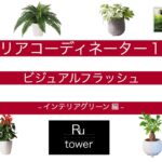 【インテリアコーディネーター】インテリアグリーン 編【ビジュアル】