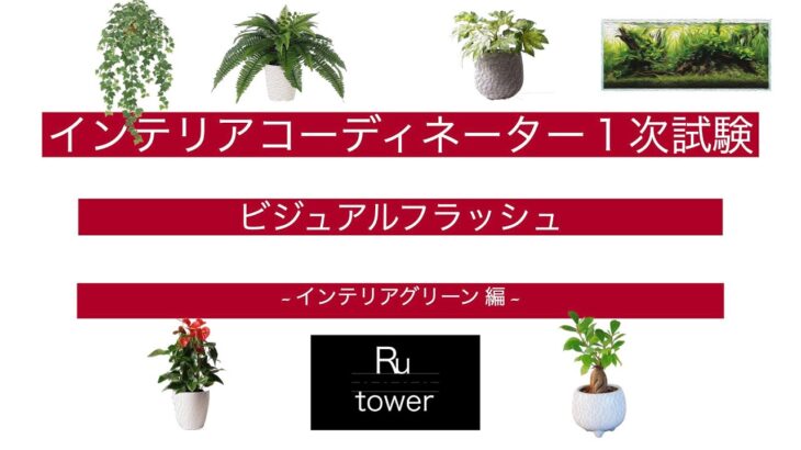 【インテリアコーディネーター】インテリアグリーン 編【ビジュアル】