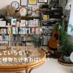 【ルームツアー】1K6畳.無造作だけどお洒落。背伸びしない部屋づくり |  好きなモノに囲まれて暮らす | Room tour