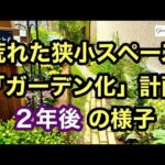 【ガーデニングを楽しもう！】お庭作り編　荒れた狭小スペースがガーデンになるまでの２年間の記録です。Until a small and rough place becomes a garden.