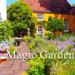ナチュラルガーデン|イギリス,スコットランド老夫妻の癒しの庭|薔薇と宿根草|イングリッシュガーデン|63年間掛け創り上げた秘密の花園|暮らしvlog|オープンガーデン2021