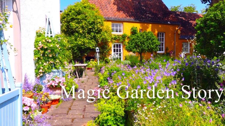 ナチュラルガーデン|イギリス,スコットランド老夫妻の癒しの庭|薔薇と宿根草|イングリッシュガーデン|63年間掛け創り上げた秘密の花園|暮らしvlog|オープンガーデン2021