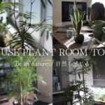 【Plant Tour】SUB)観葉植物ツアー｜インテリアグリーンに囲まれた生活【vlog】