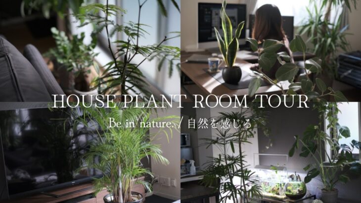 【Plant Tour】SUB)観葉植物ツアー｜インテリアグリーンに囲まれた生活【vlog】