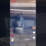 【欠陥住宅】床下調べるたびにアクシデント。最後に親方の一言驚いた方チャンネル登録と👍ボタンお願いします。Do you intend to reinforce with this?