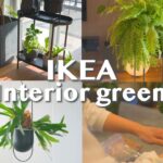 【インテリア】IKEAで観葉植物をオシャレに飾る４つのポイント | インテリアグリーン | 観葉植物のある暮らし