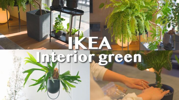 【インテリア】IKEAで観葉植物をオシャレに飾る４つのポイント | インテリアグリーン | 観葉植物のある暮らし