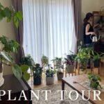 【観葉植物】植物・プランターで部屋をおしゃれに｜インテリアグリーン｜plant tour