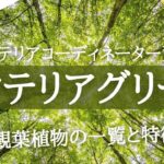 インテリアコーディネーター一次試験_インテリアグリーン