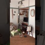 【団地ルームツアー】押し入れをデスクに！？インテリアコーディネーターのお部屋 築40年レトロを活かす和と北欧のmix #shorts