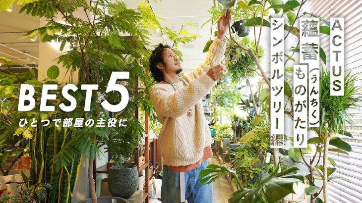 【植物バイヤーセレクト】1本で存在感がある。シンボリックな植物ベスト5