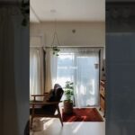 【ルームツアー】団地のような築40年マンションを部分リノベ｜小さな部屋を工夫で楽しむ│2LDK54㎡・夫婦2人暮らし #shorts