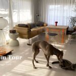 【ルームツアー 】シンプルで洗練されたお部屋│ペットも暮らしやすいデザイン家具│1LDK・2匹と2人暮らし│Room tour