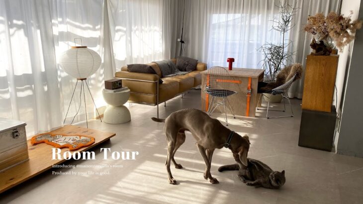 【ルームツアー 】シンプルで洗練されたお部屋│ペットも暮らしやすいデザイン家具│1LDK・2匹と2人暮らし│Room tour