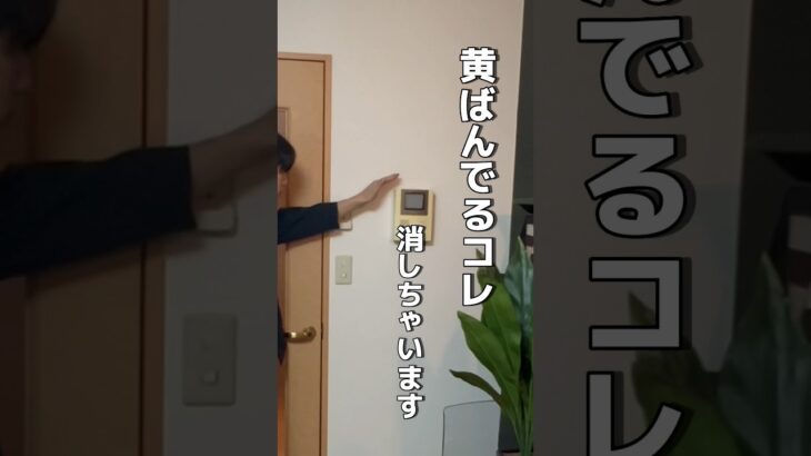 100日後にかっいい部屋をつくる【63日目】 #一人暮らし #賃貸 #diy #ルームツアー #賃貸diy