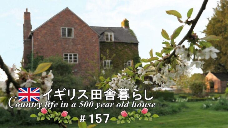 157 イギリス田舎暮らしの春／お庭の散策と初めての室内お花見【暮しのvlog】