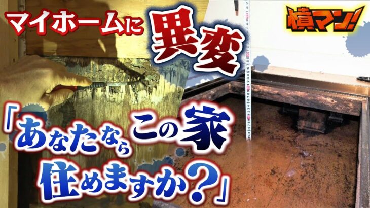 【怒り】「あなたならこの家に住みますか？」新築マイホームが『床下に水たまり』『壁一面にシミ』『全体がカビ臭い』怒る家主に…業者Ｘは「責任ない」と主張（2023年5月1日）