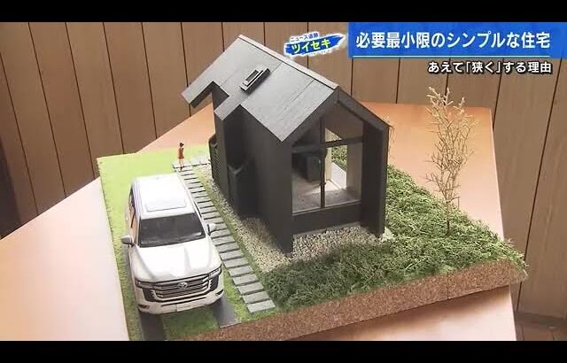 【縦幅3ｍ×横幅８m】小さな家「タイニーハウス」建設中　ホテルの一室に屋根がついたような…ウリは必要最小限の設備と広さ