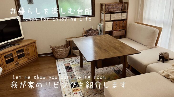 【ルームツアー】ついに完成🏠6畳のこだわりリビングを紹介/1人と1匹の暮らし/living room tour