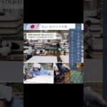 フランスベッド TW-200 【完全保存版】| フランスベッド マットレス おすすめ ベッド ベッドマットレス ベッドマット fracebed #Shorts