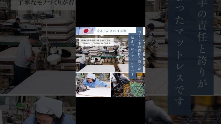 フランスベッド TW-200 【完全保存版】| フランスベッド マットレス おすすめ ベッド ベッドマットレス ベッドマット fracebed #Shorts