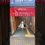 【訳あり、、？】1ヶ月で9人も退去した物件をご紹介！