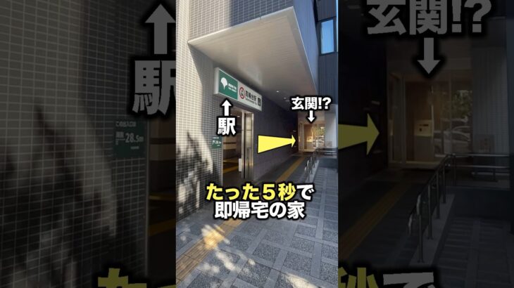 駅から5秒の最強物件がこちら #ルームツアー