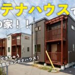 【ルームツアー】木のコンテナハウスを住宅に！自由にカスタマイズできる理想のコンテナハウス住宅