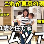 【ルームツアー】2歳＆1歳子育て中、東京暮らしの現実。収納内部も見せます！