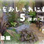 【🔰初心者保存版】お庭をお洒落にするガーデニング5つのコツ