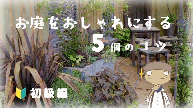 【🔰初心者保存版】お庭をお洒落にするガーデニング5つのコツ