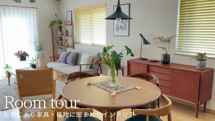 【ルームツアー】お気に入り家具・植物に囲まれたインテリア｜すっきりキッチン収納｜Room Kitchen TOUR