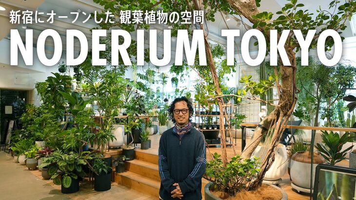 【観葉植物 × インテリア】新宿にオープンしたグリーンの旗艦店をショップツアー