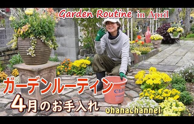 【ガーデンルーティン】4月の庭作業🌸もうひと花楽しむためのお手入れ、暑くなるこれからの育て方 [Garden Routine]April, spring flowers and garden work