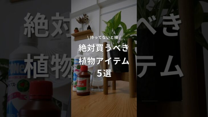 【絶対買うべき植物アイテム5選】初心者必見です。 #植物 #観葉植物 #観葉植物のある暮らし #観葉植物育て方 #観葉植物育て方 #インテリアグリーン #植物アイテム