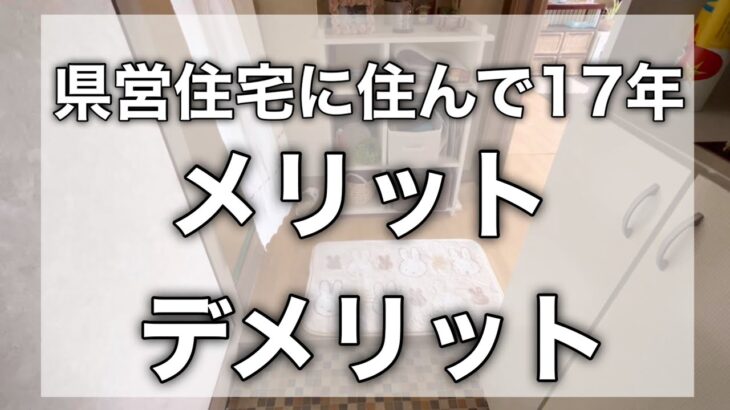 【ルームツアー】築50年/家賃17,800円/良かった事大変だった事ランキング