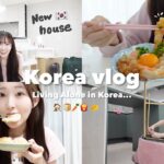 【Korea vlog】広さ2倍の家に引っ越しました！！✨韓国の新居ルームツアー🏠🇰🇷韓国在住生活がスタートしました🌼✌🏻💕