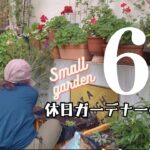 【小さな庭】休日ガーデニング♪夏花植え付け、気ままに作業　#ガーデニング #gardening  #園芸　日