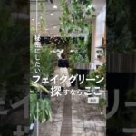 フェイクグリーン探すならここ！ #フェイクグリーン #観葉植物 #インテリアグリーン #インテリア雑貨 #ディスプレイミュージアム #横浜ディスプレイミュージアム #shorts