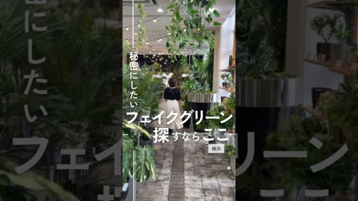 フェイクグリーン探すならここ！ #フェイクグリーン #観葉植物 #インテリアグリーン #インテリア雑貨 #ディスプレイミュージアム #横浜ディスプレイミュージアム #shorts