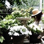 【ガーデニング】夏庭に次々と白い花を咲かせるリズムを作る方法 / 小さな庭の小さな秘密
