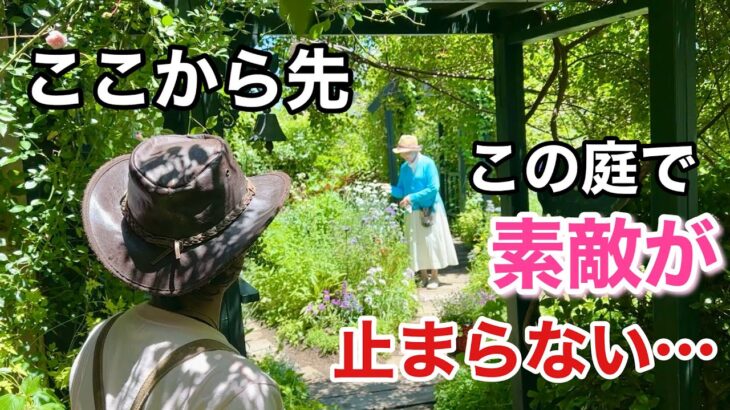 【神戸の個人庭】この庭に出会えて本当によかった。。。　　【カーメン君】【きよこさん】【ガーデニング】