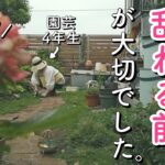 【ガーデニング】乱れ庭を阻止する園芸4年生。雨間にやりたい庭仕事｜サボリエンヌvs巨大化植物｜小さな庭のガーデニング