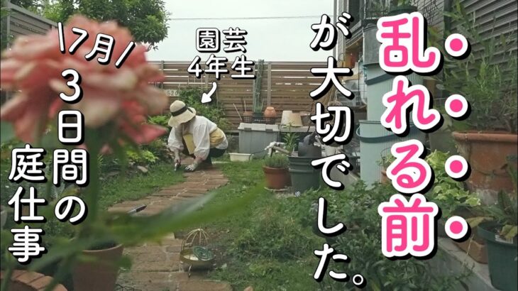 【ガーデニング】乱れ庭を阻止する園芸4年生。雨間にやりたい庭仕事｜サボリエンヌvs巨大化植物｜小さな庭のガーデニング