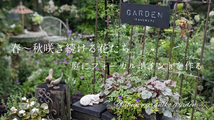 【６〜7月の庭】春〜秋咲き続ける花たち/庭にフォーカルポイントを作る/自分で作る世界観