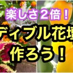 【夏の花と夏野菜の競演】鑑賞出来て収穫出来る！夏の楽しさが２倍になる花壇を作ります。#ガーデニング #flowers #エディブル #gardening #花壇