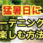 【植木鉢リメイク】剪定枝とデコパージュで２種類の植木鉢をリメイクする動画です。暑い日は無理せず室内で楽しもう！#ガーデニング #flowers #gardening #DIY