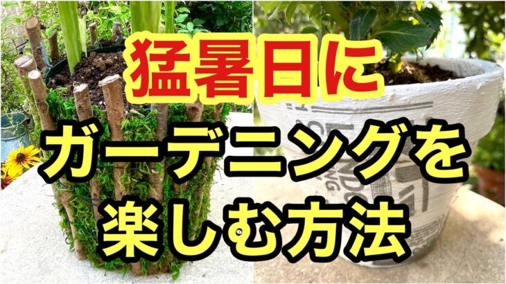 【植木鉢リメイク】剪定枝とデコパージュで２種類の植木鉢をリメイクする動画です。暑い日は無理せず室内で楽しもう！#ガーデニング #flowers #gardening #DIY