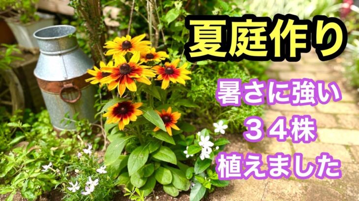 【サマーガーデニング】暑さに強い購入苗やガーデンの花々をご紹介しながらの植え付け動画です。#ガーデニング #flowers #gardening #summergardening